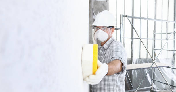 Mold Removal for HVAC Installations in London, CA