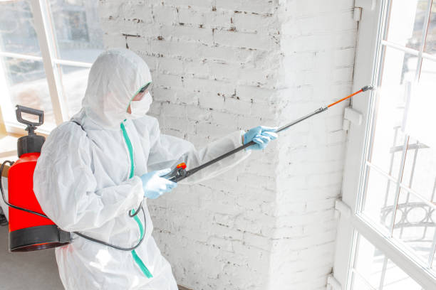 Best Air Quality Testing for Mold Spores  in London, CA