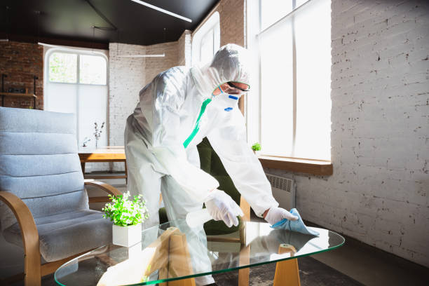 Best Environmental Consulting for Mold Prevention  in London, CA