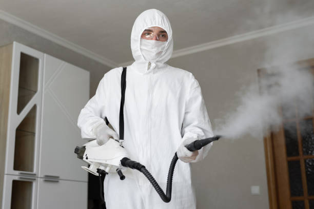 Best Mold Odor Removal Services  in London, CA